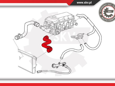 Furtun radiator ; BMW E46 316 ; 11531436407