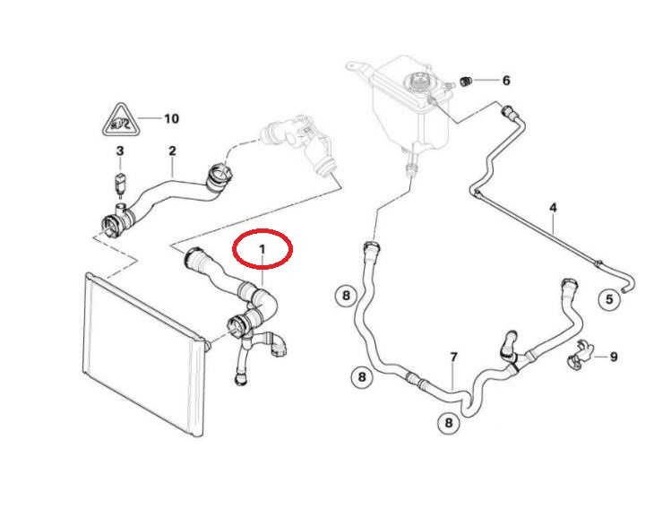 Furtun radiator Bmw Seria 5 E60/E61 2003-2010, cau