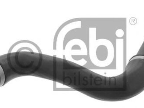 Furtun radiator BMW X3 (E83) - FEBI BILSTEIN 45843