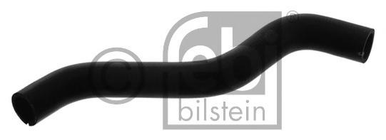 Furtun radiator FIAT 500 (312), FIAT 500 C (312), FIAT PANDA (519, 319) - FEBI BILSTEIN 38589