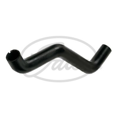 Furtun radiator # Fiat Ducato 2002 2003 2004 2005 2006 2007 2008 2009 2010 2011 2012 2013 2014 2015 2016 2017 2018 2019 2020 2021 2022 2023 2024 2025 # 05 2405 # GATES