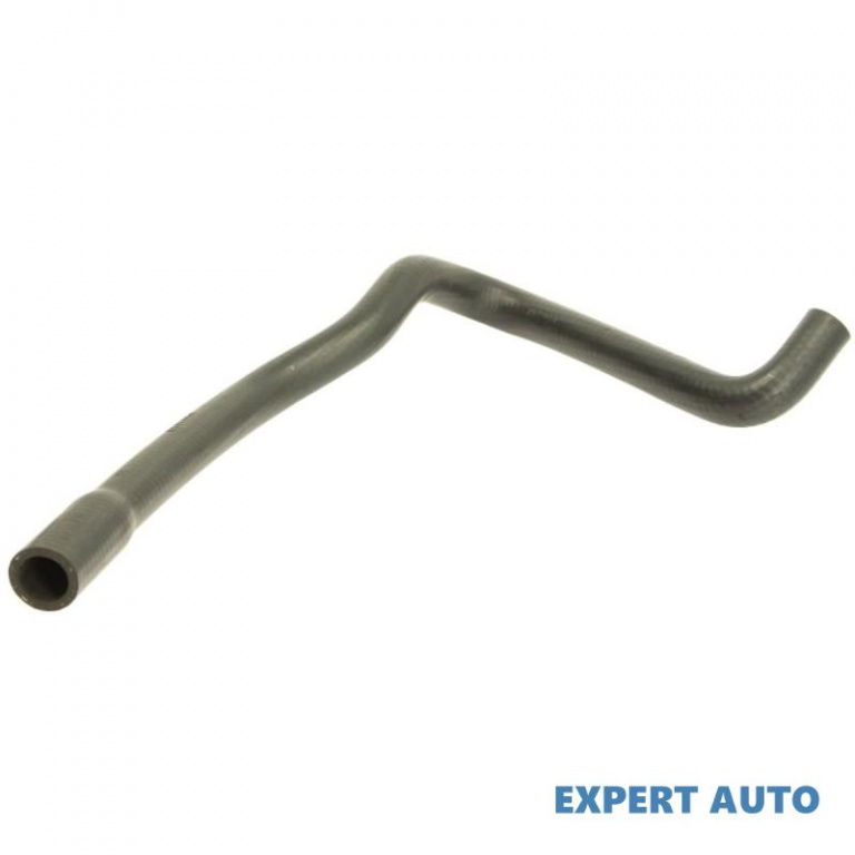 Furtun radiator Ford TRANSIT CONNECT (P65_, P70_, 