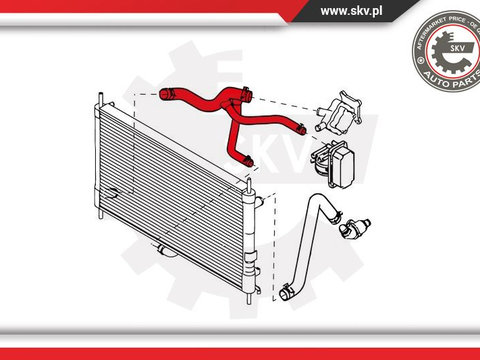 Furtun radiator ; FORD Transit V 184 2.0 TDCI ; 4C118B273AB