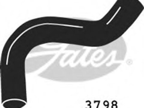 Furtun radiator FORD TRANSIT Van (T_ _) (1985 - 1992) GATES 3798
