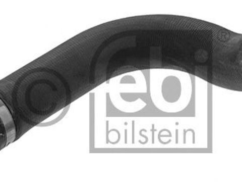 Furtun radiator IVECO Stralis (2002 - 2016) Febi Bilstein 45393