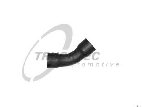 Furtun radiator MERCEDES-BENZ CLK Cabriolet (A208) (1998 - 2002) TRUCKTEC AUTOMOTIVE 02.19.088