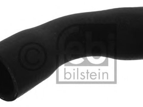 Furtun radiator MERCEDES-BENZ SLK (R170) (1996 - 2004) FEBI BILSTEIN 36793