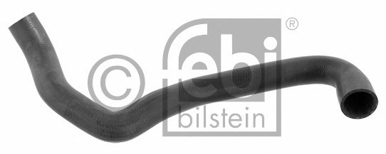Furtun radiator # partea de jos Mercedes-benz Clk 