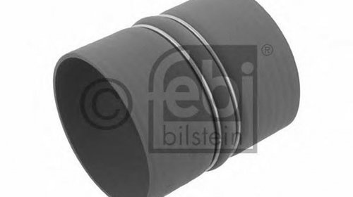 Furtun turbo intercooler DAF LF 45 FEBI 29152