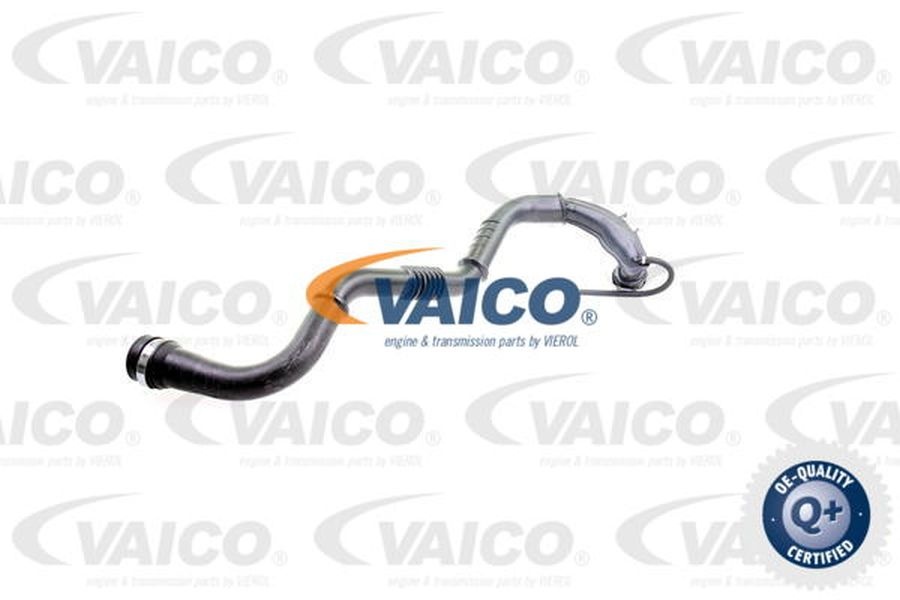 Furtun turbo intercooler RENAULT KANGOO KC0 1 VAICO V460742