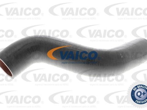 Furtun turbo intercooler RENAULT MEGANE III Grandtour KZ0 1 VAICO V460743