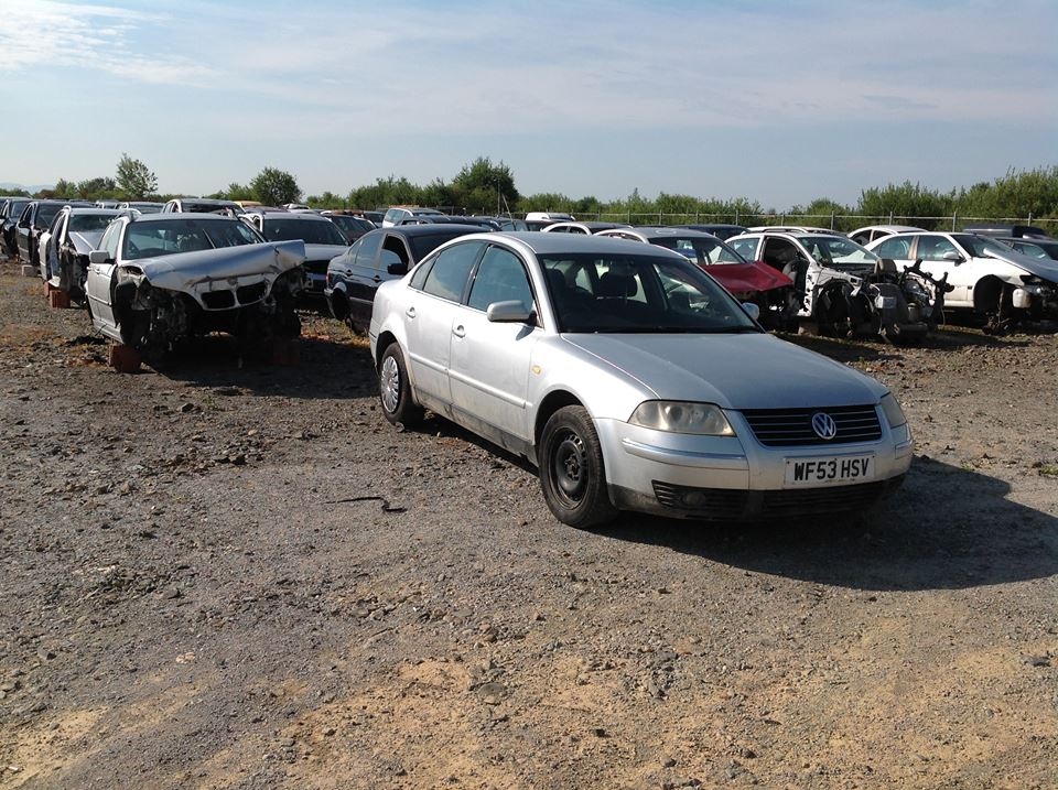 Furtun turbo Volkswagen Passat B5 2003 H