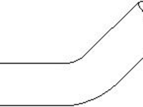 Furtun vacuum,sistem de franare AUDI FOX (80, 82, B1), AUDI 4000 (81, 85, B2), AUDI 4000 (89, 89Q, 8A, B3) - TOPRAN 103 405