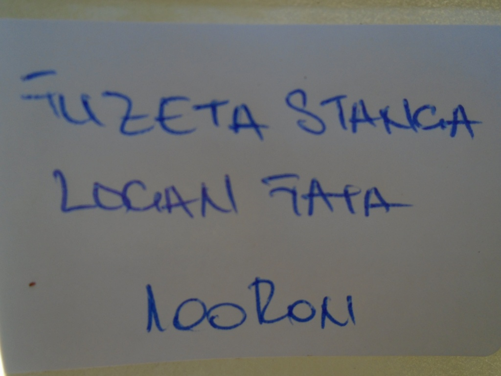 Fuzeta stanga fata dacia logan