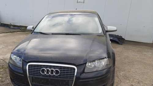 Galerie admisie Audi A3 8P/8PA [facelift