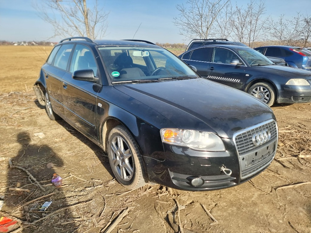 Galerie admisie Audi A4 B7 2007 break 2.0 BPW