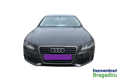 Galerie admisie Audi A4 B8/8K [2007 - 2011] Sedan 