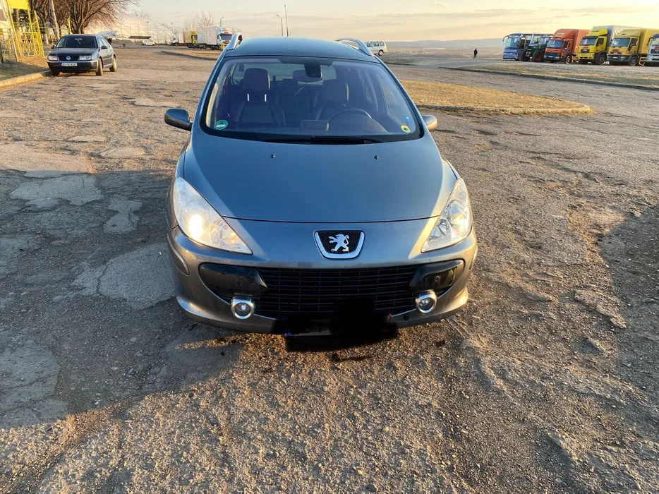 Galerie admisie Peugeot 307 2006 Break 2.0