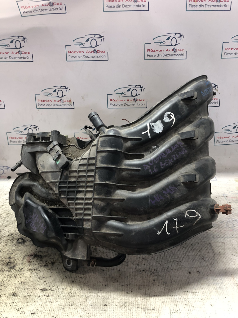 Galerie Admisie Plastic Dacia Duster 1.6 Benzina 2