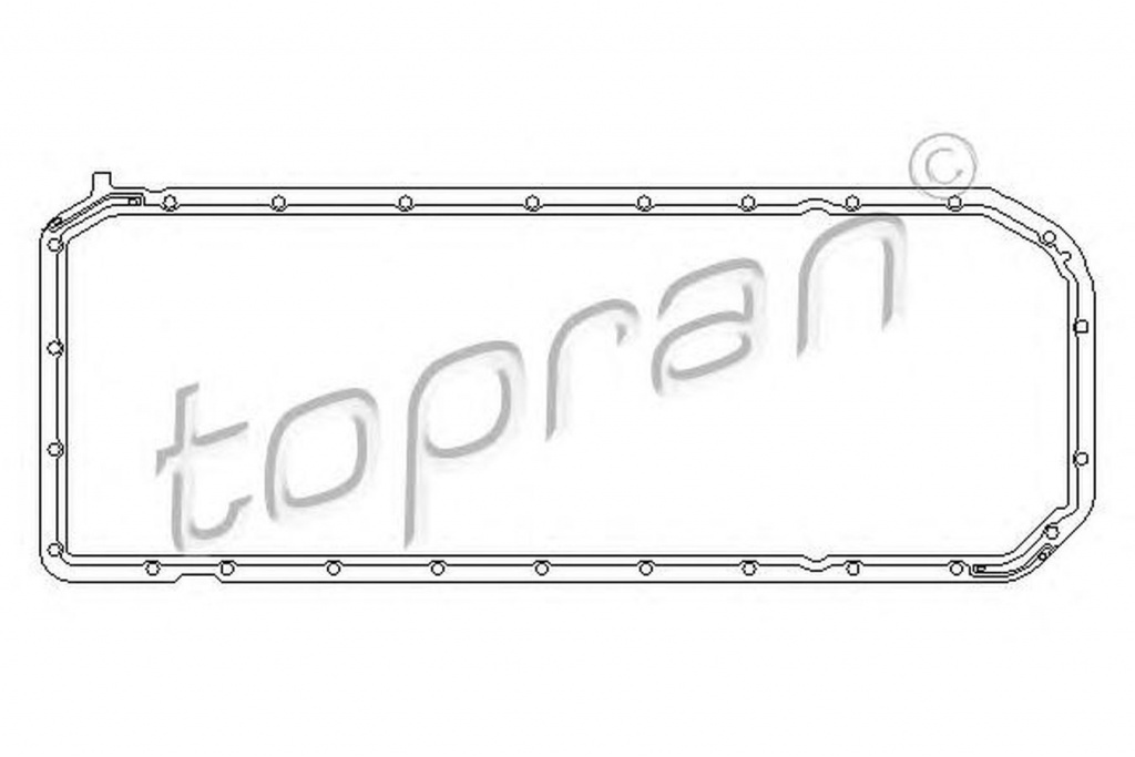 Garnitura baie ulei BMW 7 E65 E66 E67 TOPRAN 50077