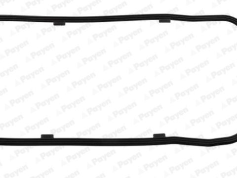 Garnitura baie ulei (JH5199 PAYEN) Citroen,FIAT,FUSO (MITSUBISHI),IVECO,MITSUBISHI,MULTICAR,PEUGEOT,RAM,TEMSA