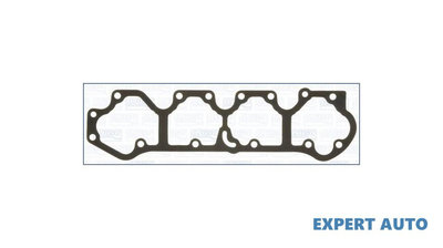 Garnitura, capac supape Fiat SCUDO Combinato (220P