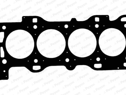 Garnitura, chiulasa (AD5220 PAYEN) FORD,FORD ASIA / OCEANIA,FORD AUSTRALIA,FORD USA,MAZDA,MORGAN,VOLVO