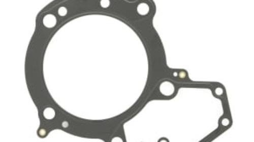 Garnitura chiulasa BMW R 1100 GS/RS - 1998/2006