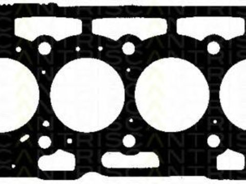 Garnitura, chiulasa Citroen BERLINGO I caroserie (M_), Citroen BERLINGO (MF), PEUGEOT RANCH caroserie (5) - TRISCAN 501-5595