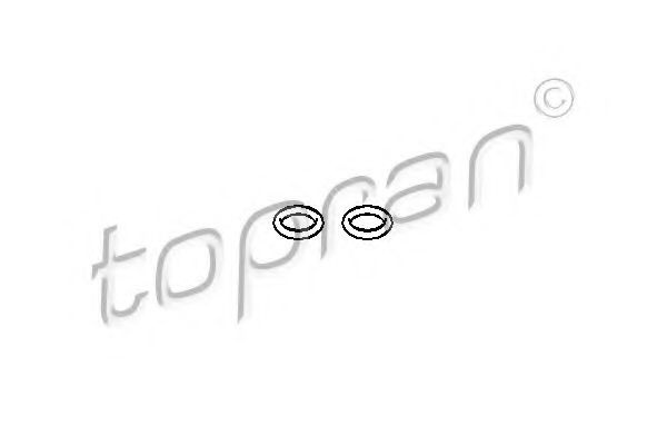 Garnitura, filtru combustibil AUDI A4 (8E2, B6) (2000 - 2004) TOPRAN 110 676