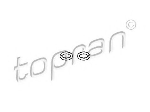 Garnitura, filtru combustibil AUDI A6 (4F2, C6) (2004 - 2011) TOPRAN 110 676