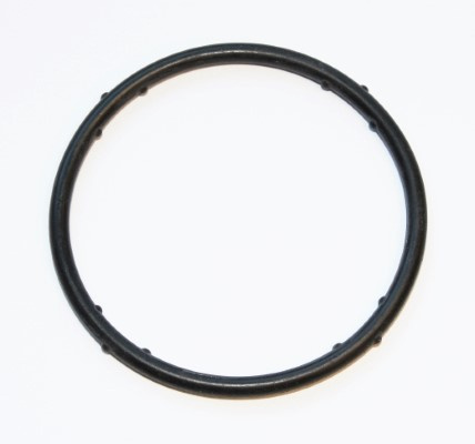 Garnitura, flansa lichid racire chiulasa (625270 ELR) AUDI,FORD,MITSUBISHI,SEAT,SKODA,VW,VW (FAW),VW (SVW)