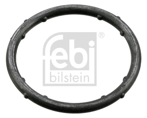 Garnitura, flansa lichid racire FEBI BILSTEIN 18766
