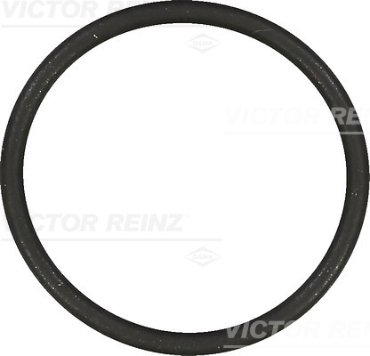 Garnitura, galerie admisie (407685400 REI) SEAT,SKODA,SKODA (SVW),VW,VW (FAW),VW (SVW)