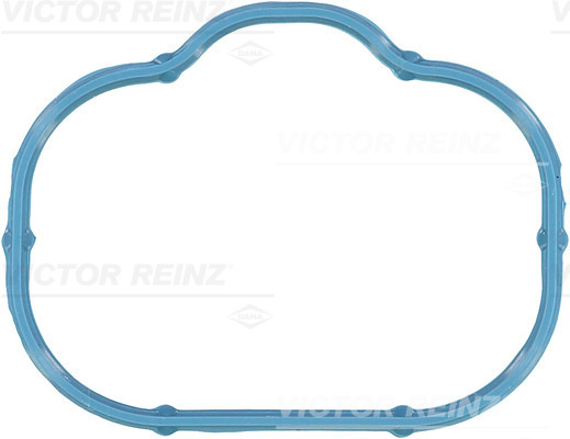 Garnitura, galerie admisie (711036000 REI) CHRYSLER,DODGE,FIAT,JEEP,LANCIA,RAM,VW