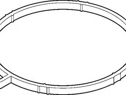 Garnitura galerie admisie AUDI A4 Cabriolet 8H7 B6 8HE B7 ELRING EL729960