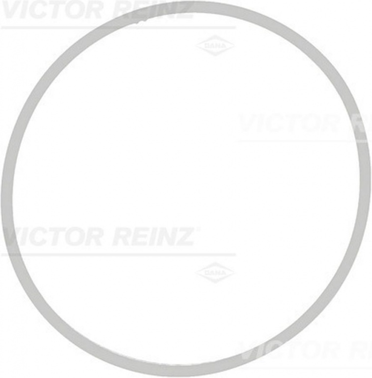 Garnitura galerie admisie BMW 5 Touring E61 VICTOR REINZ 713940900