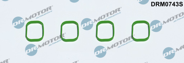 Garnitura, galerie admisie (DRM0743S DRM) AUDI,SEAT,SKODA,VW