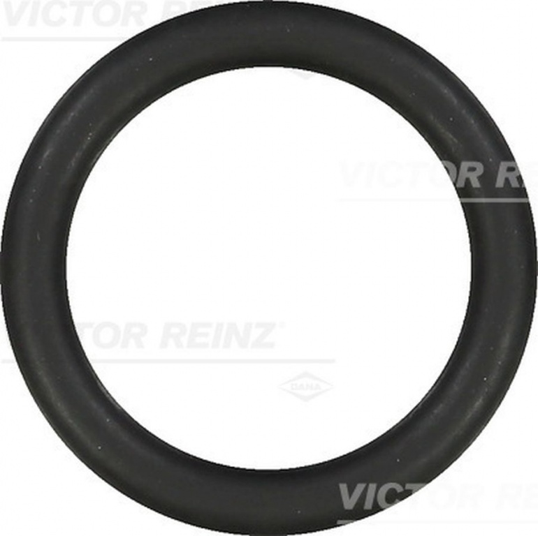 Garnitura galerie admisie FORD FOCUS II DA VICTOR REINZ 407691900