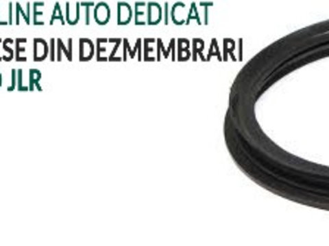 Garnitura pompa combustibil in rezervor Range Rover Sport 2005-2013 / Range Rover Vogue 2002-2012 / Defender