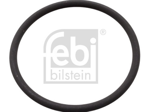 Garnitura, pompa injectie (106582 FEBI BILSTEIN) NISSAN,OPEL,RENAULT,VAUXHALL