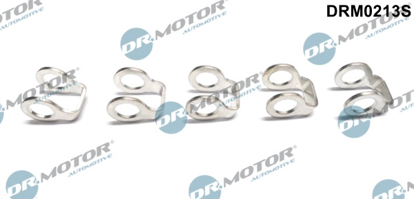 Garnitura, racord admisie combustibil Dr.Motor Aut