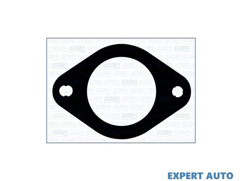 Garnitura, racord evacuare Rover MINI Cabriolet (XN) 1992-2001 #2 1011011