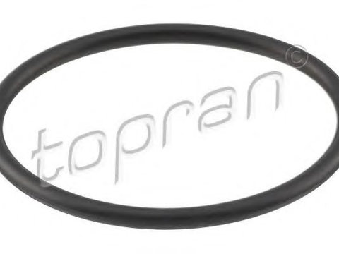Garnitura termostat AUDI A6 (4F2, C6) (2004 - 2011) TOPRAN 101 117