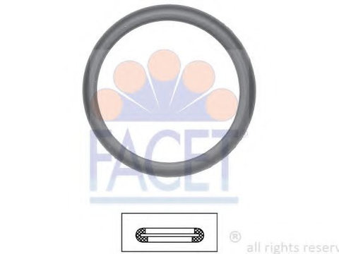 Garnitura termostat FORD ESCORT CLASSIC Turnier (ANL) (1999 - 2000) FACET 7.9598