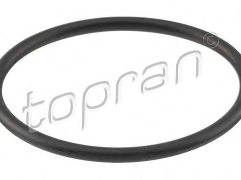 Garnitura termostat SEAT CORDOBA limuzina (6K1, 6K2), VW POLO (6N1), VW GOLF Mk III (1H1) - TOPRAN 100 618