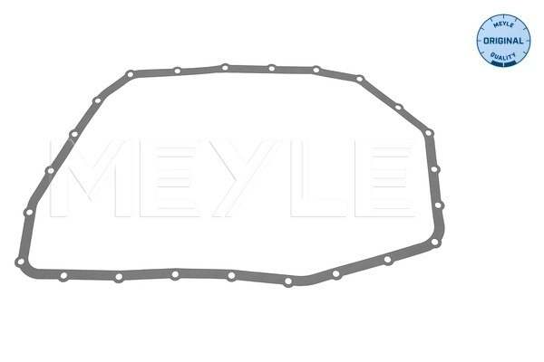 Garnitura, vana ulei cutie viteza automata MEYLE 100 321 0017 pentru AUDI A4 B6 Cabriolet (8H7) 2004-2005