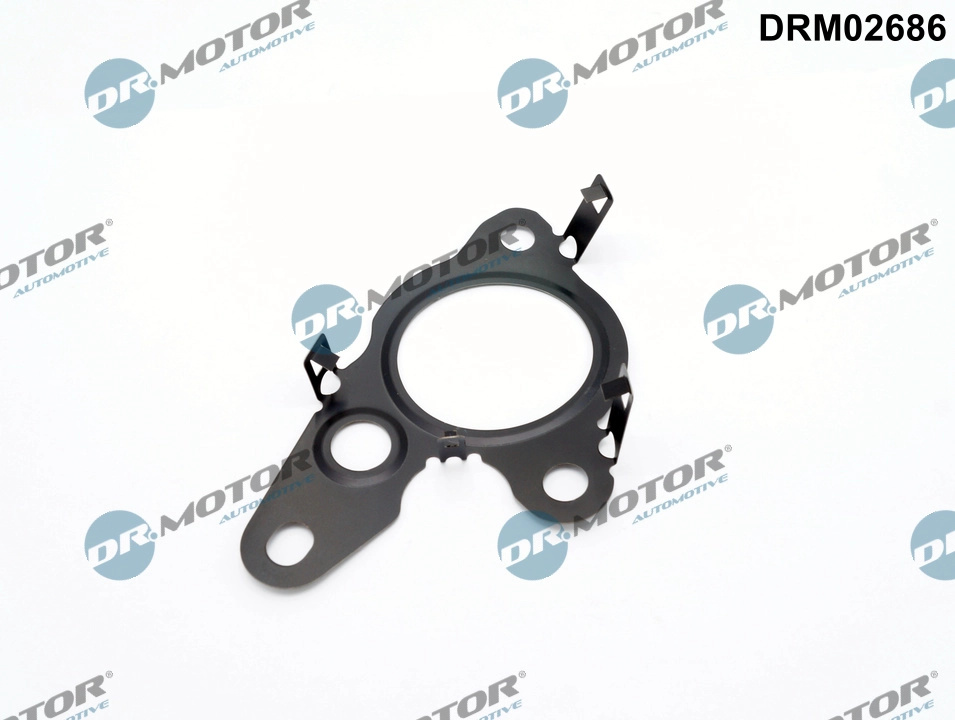 Garnitura, ventil AGR Dr.Motor Automotive DRM02686 la masina NISSAN INTERSTAR caroserie (X62B) 2021 2022 2023 2024 2025
