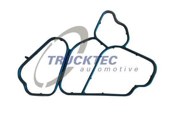 Garnituri, carcasa filtru ulei (0810157 TRU) BMW