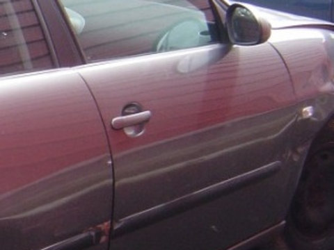 Geam usa fata dreapta Seat Ibiza 2002 300
